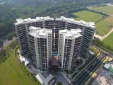 Woodlands