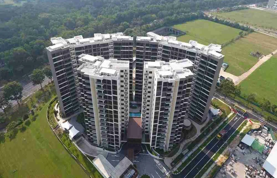 Woodlands